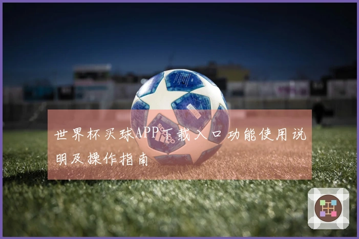 世界杯买球APP下载入口功能使用说明及操作指南