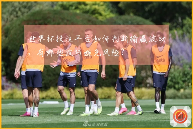 世界杯投注平台如何判断输赢波动，有哪些技巧避免风险？