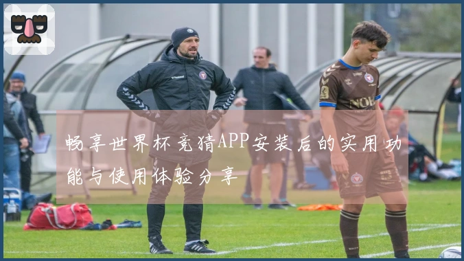畅享世界杯竞猜APP安装后的实用功能与使用体验分享