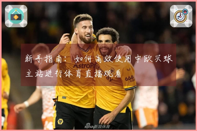 新手指南：如何高效使用中欧买球主站进行体育直播观看