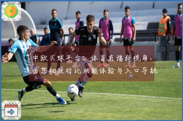 中欧买球平台：体育直播新视角，为您细致对比功能体验与入口导航
