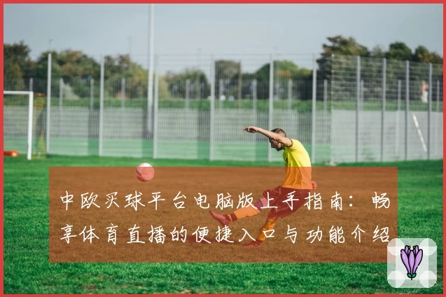 中欧买球平台电脑版上手指南：畅享体育直播的便捷入口与功能介绍