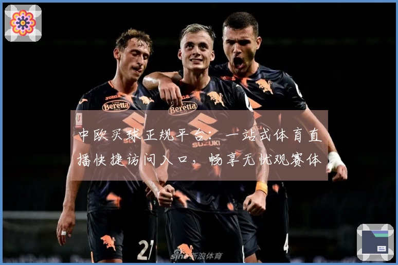 中欧买球正规平台：一站式体育直播快捷访问入口，畅享无忧观赛体验