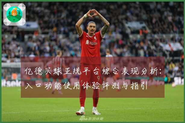 亿德买球正规平台综合表现分析：入口功能使用体验评测与指引