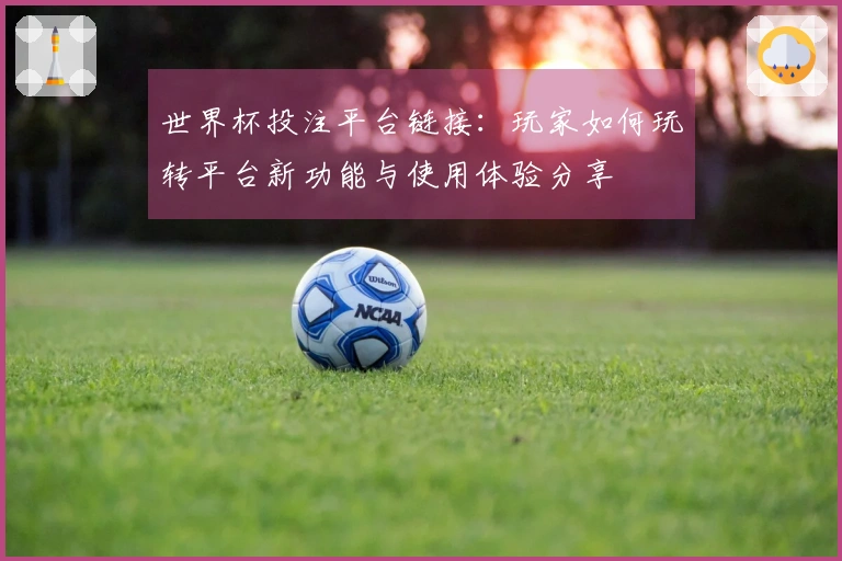 世界杯投注平台链接：玩家如何玩转平台新功能与使用体验分享