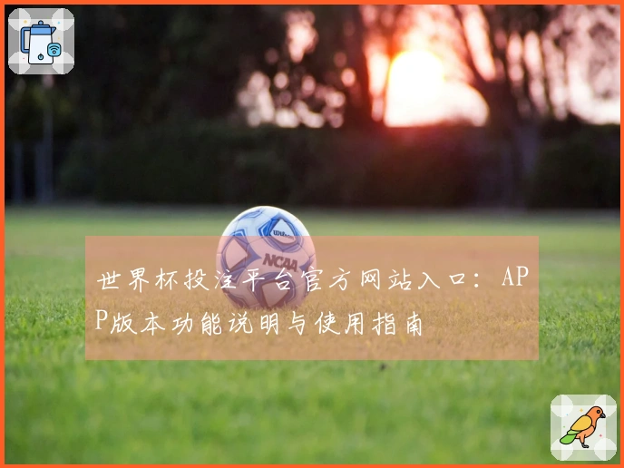 世界杯投注平台官方网站入口：APP版本功能说明与使用指南