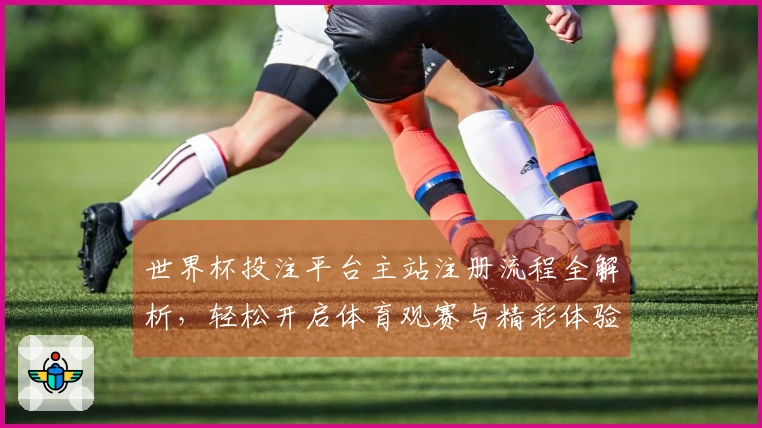 世界杯投注平台主站注册流程全解析，轻松开启体育观赛与精彩体验