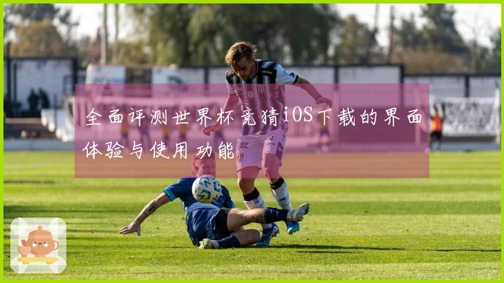 全面评测世界杯竞猜iOS下载的界面体验与使用功能