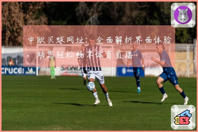 中欧买球网址：全面解析界面体验，助您轻松畅享体育直播
